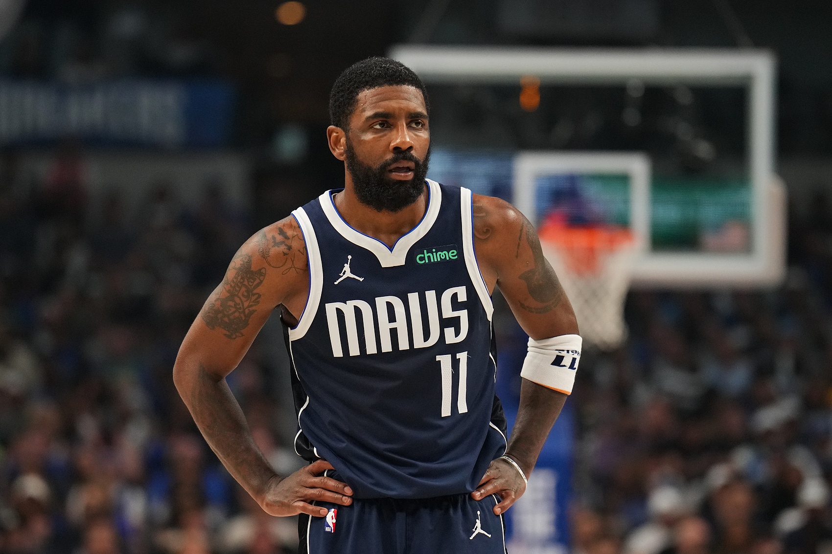 而这次引进 而这次引进